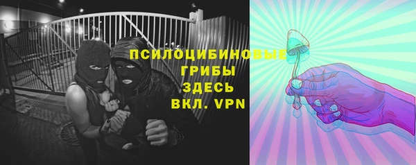 гидропоника Шадринск