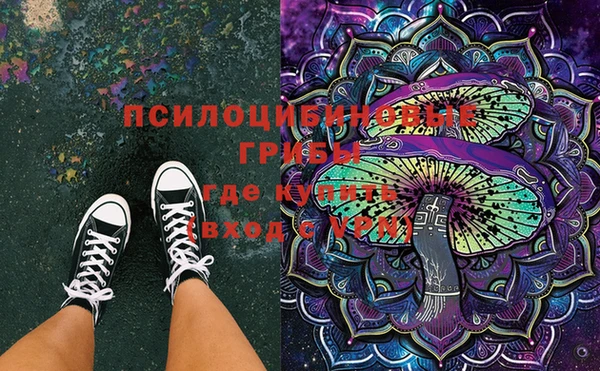 spice Шали