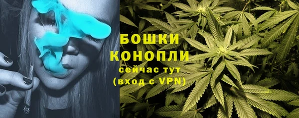 spice Шали