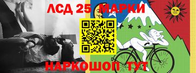 индика Аргун